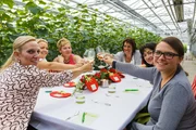 Gemeinsames Anstoßen der Landfrauen am Tisch - von links: Barbara Birkholz, Marie Bauer, Gerlinde Schreyer, Irmi Kinker, Maria Deß und Joanna Kantorowicz.