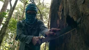 Illegal logger cuts bark from a tree. (Credit: National Geographic) Illegal logger cuts bark from a tree. (Credit: National Geographic)