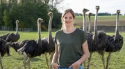 Die dritte Reise geht in den westlichen Bodenseekreis zu Lea Martin (r). Hier hält die 30-jährige mit ihrem Mann Heiko 120 Strauße. Innerhalb der letzten Jahre haben die beiden den unrentablen Hof der Schwiegereltern zu einer exotischen Straußenfarm umgebaut.