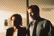 War der Tod des "Unglaublichen Maleeni" ein Zaubertrick? Mulder (David Duchovny, r.) und Scully (Gillian Anderson, l.) sind der Sache auf der Spur ...