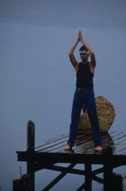 Daniel  (Ralph Macchio)