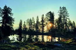 Sonnenaufgang B&auml;rensee.