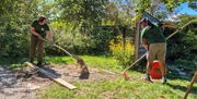 Die Gärtnerinnen auf der Garten Tulln kümmern sich um den Kräuterrasen. An kahlen Stellen wird mit speziellem Saatgut nachgestreut, um die Artenvielfalt zu erhöhen.