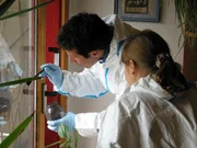 Willi Weitzel und Saskia sichern Fingerabdrücke nach einem Einbruch in einem Reihenhaus.