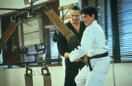 Karate Kid (Ralph Macchio, re.)