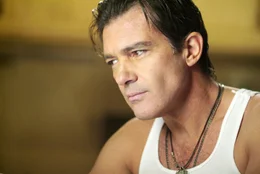 Um zwei wertvolle Faberg&eacute;-Eier zu stehlen und damit seine Schulden bei einem m&auml;chtigen russischen Gangster abzahlen zu k&ouml;nnen, muss Kunstdieb Keith Ripley einen Partner gewinnen. Gabriel Martin (Antonio Banderas) aus Miami ist genau der Richtige f&uuml;r den Job ...