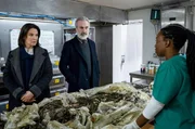 Neue Details: Cathrin Blake (Désirée Nosbusch, li.) und Sean Kelly (Declan Conlon) bei der Forensikerin (Esosa Ighodaro).