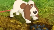 Gabys Hund Oscar hat im Wald einen fragwürdigen Schatz ausgebuddelt: Handgranaten! Gabys Hund Oscar hat im Wald einen fragwürdigen Schatz ausgebuddelt: Handgranaten!