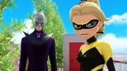 L-R: Hawk Moth, Queen Bee