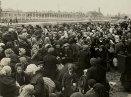 Ankunft in Auschwitz-Birkenau im Mai 1944: Juden, die in G&uuml;terwaggons aus Ungarn deportiert wurden.