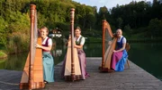 Seewind Harfendirndl. Seewind Harfendirndl.