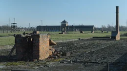 Auschwitz