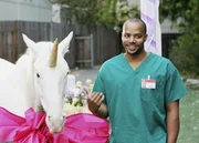 Turk (Donald Faison) hat ein besonderes Geschenk für seinen Freund ... Turk (Donald Faison) hat ein besonderes Geschenk für seinen Freund ...