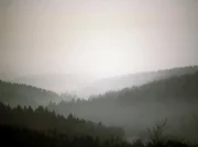 Stimmungsbild von der Schwarzwaldhochstraße über den Schwarzwald.