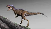 TINY TYRANNOSAUR