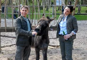 Tierpfleger Conny (Thorsten Wolf, l.) und Tierärztin Dr. Susanne Mertens (Elisabeth Lanz, r.) machen die Probe aufs Exempel; der Esel trinkt Bier.