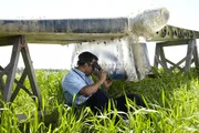 Binbrook, Ontario, Kanada: Nachstellung. Deepak Joshi (gespielt von Richard Young) stanzt ein Stück der gebrochenen Metallhaut vom Heck des Flugzeugs auf und legt die Metallstränge im Inneren frei. Joshi benutzt eine spezielle Lupe, um festzustellen, ob Metallermüdung oder Korrosion dazu geführt hat, dass das Heck des Continental Express Fluges 2574 in der Luft abgerissen ist. Das Flugzeug war beim Anflug auf den internationalen Flughafen von Houston in einen steilen Sturzflug geraten. Binbrook, Ontario, Kanada: Nachstellung. Deepak Joshi (gespielt von Richard Young) stanzt ein Stück der gebrochenen Metallhaut vom Heck des Flugzeugs auf und legt die Metallstränge im Inneren frei. Joshi benutzt eine spezielle Lupe, um festzustellen, ob Metallermüdung oder Korrosion dazu geführt hat, dass das Heck des Continental Express Fluges 2574 in der Luft abgerissen ist. Das Flugzeug war beim Anflug auf den internationalen Flughafen von Houston in einen steilen Sturzflug geraten.