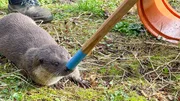 "Carla" muss still halten, um einen Fisch zu bekommen. "Carla" muss still halten, um einen Fisch zu bekommen.