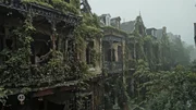 Verlassene Gebäude, die von dichter Vegetation überwuchert sind. Die Fassaden sind beschädigt und von Pflanzen bedeckt, was die Rückeroberung der Natur zeigt.