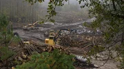 Wideshot of logging machines at work.