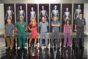 (8. Staffel) - Die Belegschaft des Sacred Heart Hospitals muss täglich mit neuen Überraschungen rechnen: (v.l.n.r.) Dr. Bob Kelso (Ken Jenkins), Turk (Donald Faison), Elliot (Sarah Chalke), J.D. (Zach Braff), Dr. Phil Cox (John C. McGingley), Carla (Judy Reyes) und der Hausmeister (Neil Flynn) ...