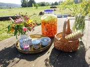 Fermentierte Karotten.