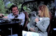 Endlich ist der Traum von Jonathan (Robert Wagner, l.) und Jennifer (Stefanie Powers, r.), ihr eigenes Naturschutzgebiet in Australien zu eröffnen, in Erfüllung gegangen ...