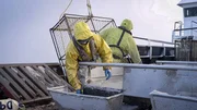 Wizard crew sorting crab at the table