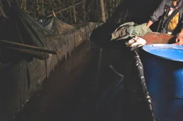 In den Drogenlabors im Dschungel werden die Coca-Bl&auml;tter mit diversen Chemikalien behandelt, um den Wirkstoff zu extrahieren.