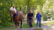 Sabine Heinrich unterwegs mit Daniel Proske und seinem Rückepferd.