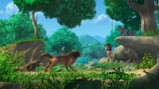 Phaona, der listige Wolf will wissen, wer der Mutigere ist und fordert Mogli heraus. Bala und Lali sind Zeugen der Abmachung: Sie verabreden sich zur Mittagszeit bei den Klippen, um die Sache zu regeln.