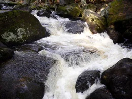 Wo einst hohe Gebirge aus den Urmeeren emporragten und heute eine sanfte, h&uuml;gelige Landschaft das n&ouml;rdliche Waldviertel pr&auml;gen, entspringt ein Fluss, der bis zu seiner M&uuml;ndung in die Donau eine faszinierende Vielfalt an geologischen Gegebenheiten durchflie&szlig;t: der Kamp. Es ist die Lebensader f&uuml;r eine vielf&auml;ltige Flora und Fauna, aber auch f&uuml;r die Menschen, die hier im Lauf der Zeit eine spezifische Lebenskultur entwickelt haben. Der Film verfolgt den Fluss im Wandel der Jahreszeiten - eine spannende Reise durch ein faszinierendes Tal und seine Geschichte.