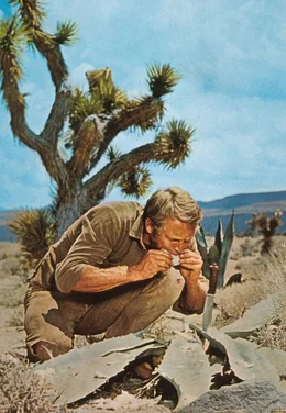 In der W&uuml;ste nutzt Nevada Smith (Steve McQueen) seine Kenntnis der Wildnis, um an Nahrung zu kommen.