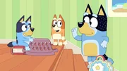 L-R: Bluey, Bingo, Bandit