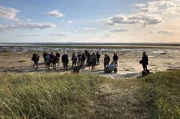 Plastik im Meer: Alle zwei Jahre sammeln freiwillige Helfer auf der menschenleeren Insel Mellum den aus dem Meer angespülten Plastikmüll ein. Plastik im Meer: Alle zwei Jahre sammeln freiwillige Helfer auf der menschenleeren Insel Mellum den aus dem Meer angespülten Plastikmüll ein.