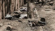 Greatest Events of WW2_Wendepunkte des Zweiten Weltkriegs Ep_10_Hiroshima GEWW2 HIROSHIMA Bodies in the streets of Japan following the bombingsGreatest Events of WW2_Wendepunkte des Zweiten Weltkriegs Ep_10_Hiroshima GEWW2 HIROSHIMA Bodies in the streets of Japan following the bombings