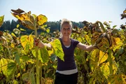 Linda Kelly zwischen Sonnenblumen.
