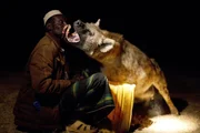 Yusef ist einer der wenigen Menschen in Harar, &Auml;thiopien, der eine enge Beziehung zu wilden Hy&auml;nen pflegt. Er ruft sie in sein Haus und f&uuml;ttert sie mit der Hand.