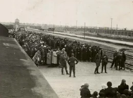 Die "Rampe" 1944 - hier entscheiden SS-M&auml;nner, wer sofort in den Tod gehen wird. 80 Prozent der Ankommenden werden diesen Tag nicht &uuml;berleben.