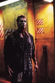 Quaid (Arnold Schwarzenegger)