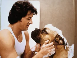 Rocky (Sylvester Stallone)