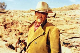 Wil Andersens (John Wayne) Viehtreck wird von einer Bande von Pferdedieben verfolgt.