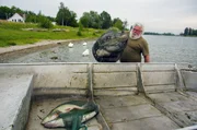 Adrien Vonarb fischt am Oberrhein mit extra breitmaschigen Netzen. Adrien Vonarb fischt am Oberrhein mit extra breitmaschigen Netzen.