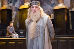 L-R: Harry Potter (Daniel Radcliffe), Professor Albus Dumbledore (MIchael Gambon)