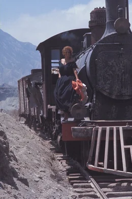 Als die junge Witwe (Claudia Cardinale) erf&auml;hrt, dass ihr Mann beim Bau einer Bahnlinie im Wege stand, tritt sie trotzig sein Erbe an ...