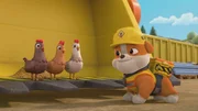 v.li.: Chickens, Rubble v.li.: Chickens, Rubble