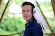 Dirk Steffens dreht für "Terra X - Sternstunden der Evolution" auf Bali mit einem Kakadu. Dirk Steffens dreht für "Terra X - Sternstunden der Evolution" auf Bali mit einem Kakadu.