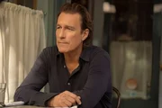 John Corbett als Aidan Shaw