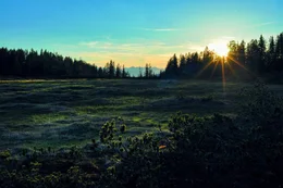 Hochmoor am Schwarzenberg.