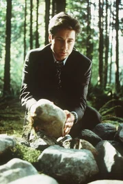 Tessa hat selbst ein Kind von Greg erwartet und ihn wegen seines Verhältnisses mit Ruby getötet. Mulder (David Duchovny) macht am Tatort eine grausige Entdeckung. Tessa hat selbst ein Kind von Greg erwartet und ihn wegen seines Verhältnisses mit Ruby getötet. Mulder (David Duchovny) macht am Tatort eine grausige Entdeckung.